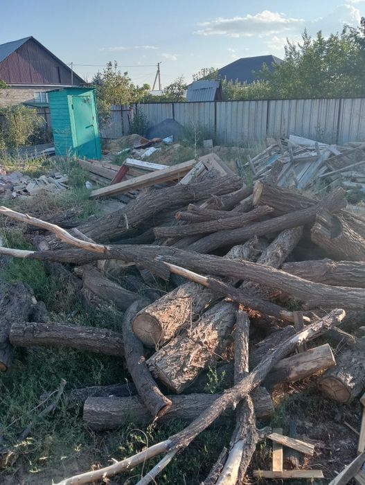 Продам Карагаш сухой