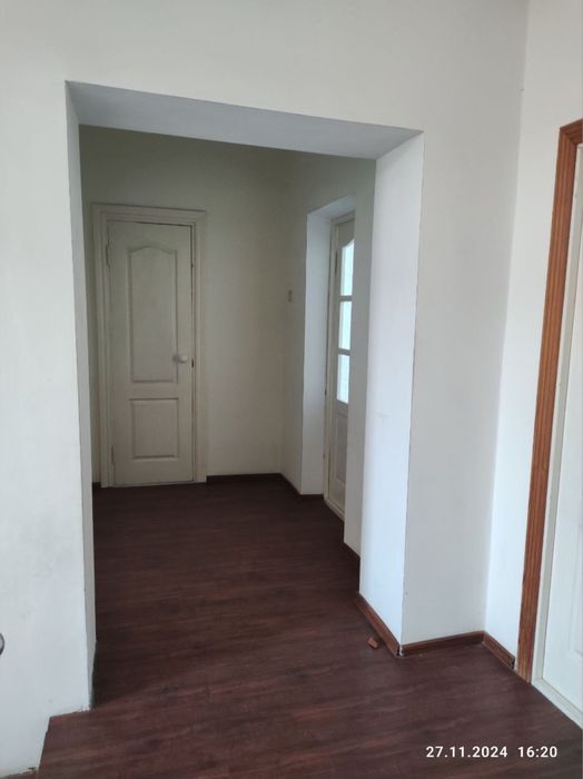 Kotej sotiladi 60000$