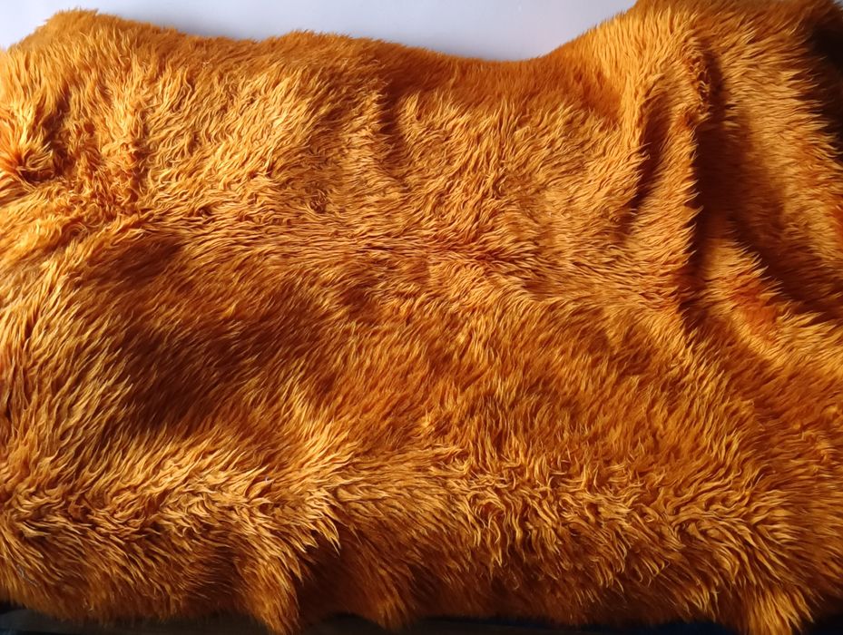 Два оранжеви китеника