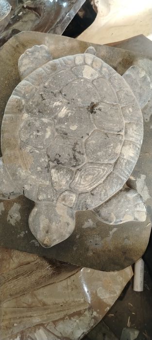 Мустакам колиблар сотилади