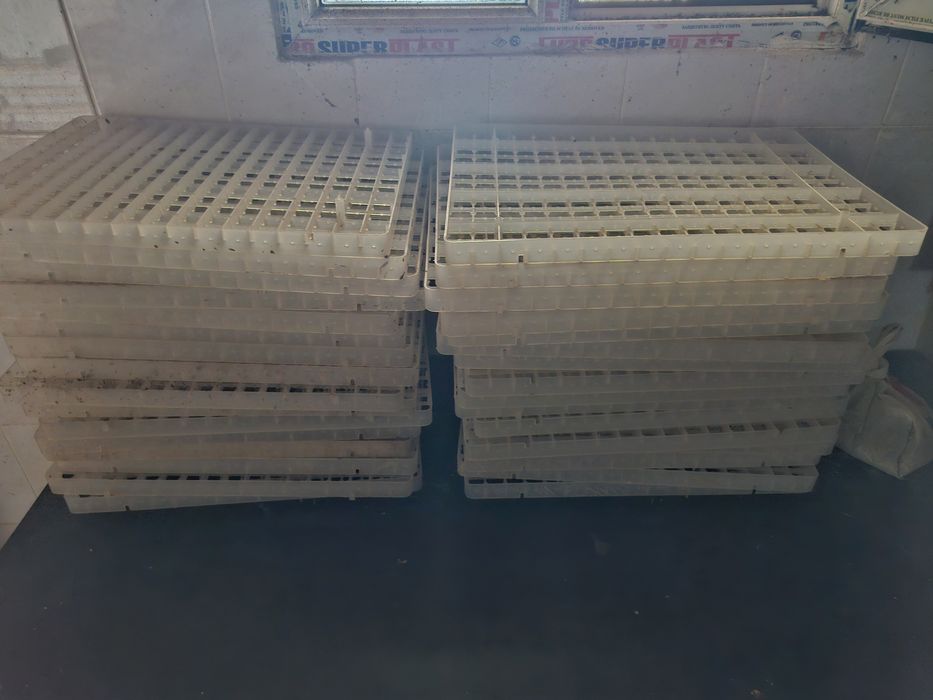 Инкубатор для яиц