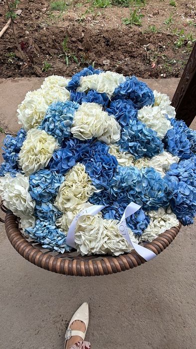 Цветы очень красивые