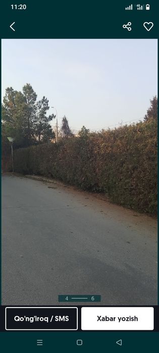 Daraxt kesish xizmati