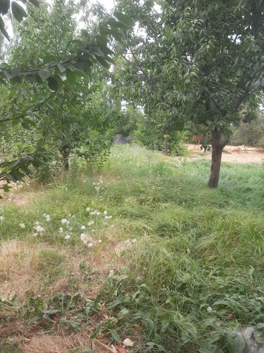 СДАЕТСЯ ДОМ Янгибазаре