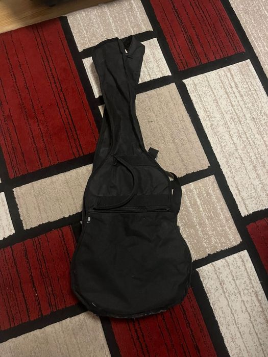 Chitară hora întreținută