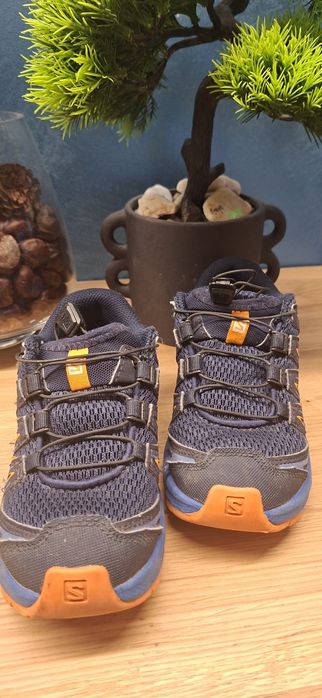 Salomon 31 номер