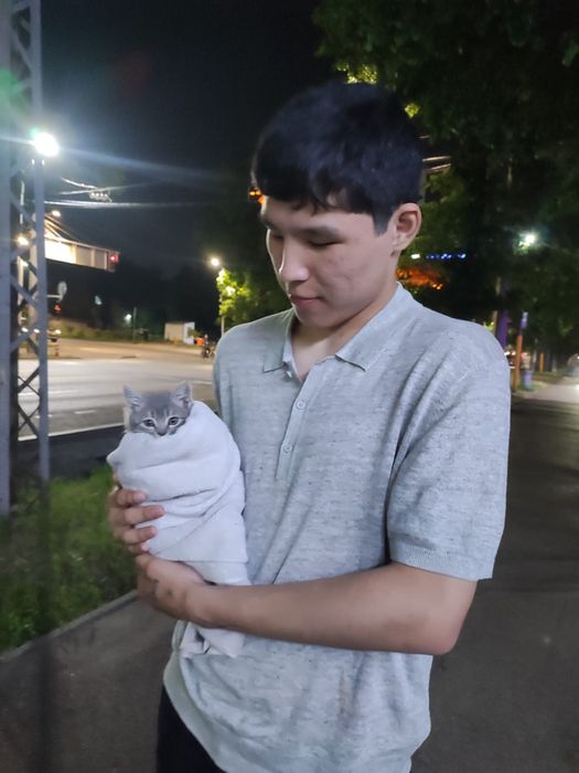 Кошка алмалинский район