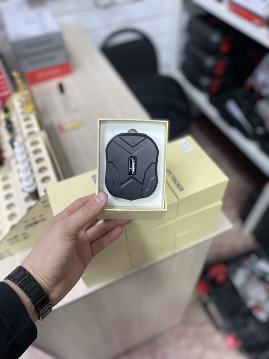 Лошади ЖПС, жылкыга ЖПС, GPS, бие, тай, жабагы, айгыр, байтал