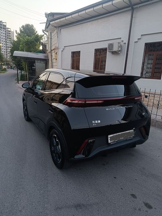BYD seagull qora