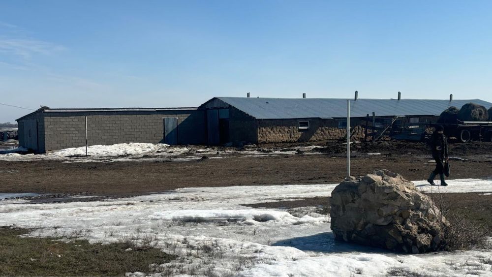 Продам КХ от города 100 км. Торг есть 35 млн