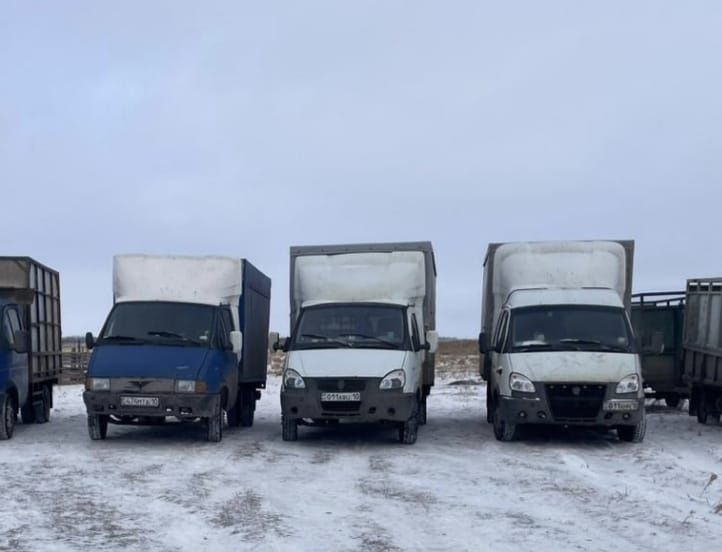 Скотовоз перевозка скота