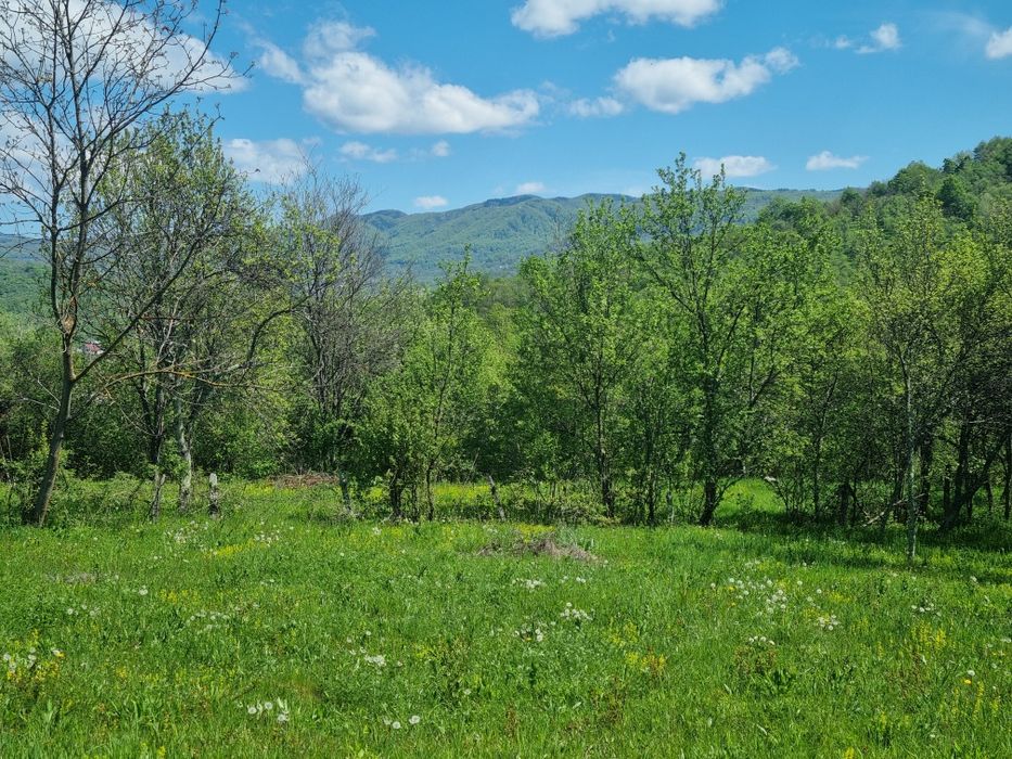 Teren in zona Calimanesti-Caciulata, cu iesire la parau