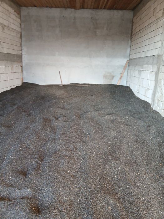 Grâu orz ovăz floarea soarelui porumb