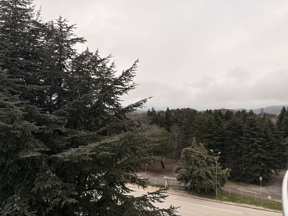 Дава се под наем Двустаен апартамент в к.к. Св.Св. Константин и Елена - 54 кв.м за 648.21 € - Снимка #17