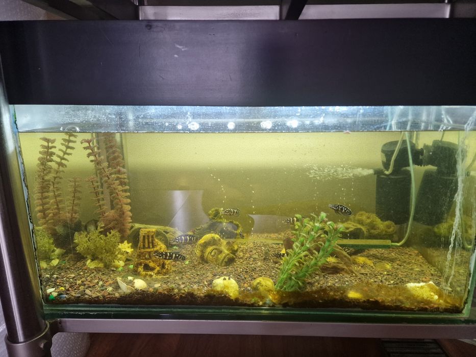 Продам 3 аквариума со стеллажём