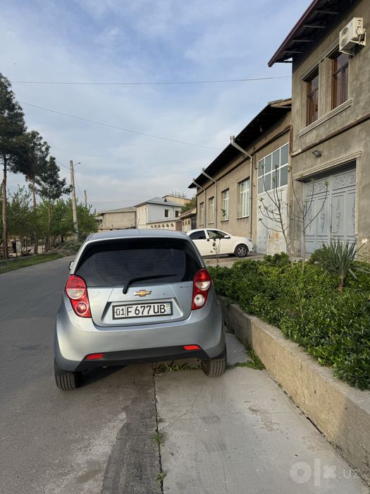 Spark 2019 delifin