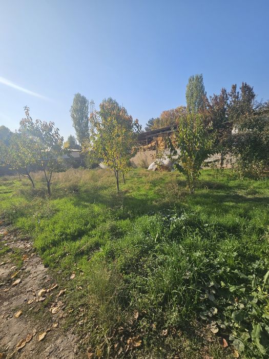 Бустонлиқ  тумани Озодбош махалласида 3 хона 5 сотихли уй сотилади.