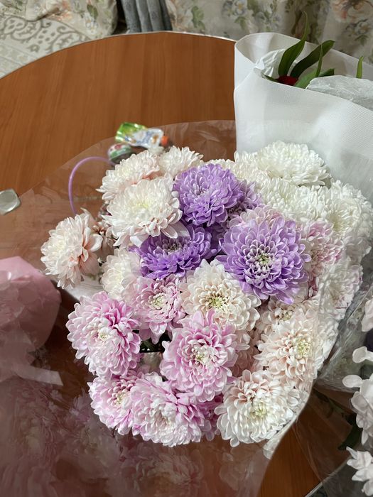 Продам цветы недорого