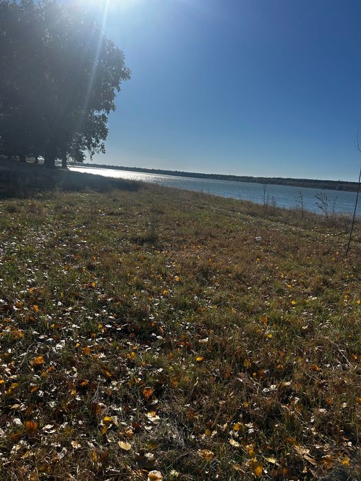 Teren direct la Dunăre