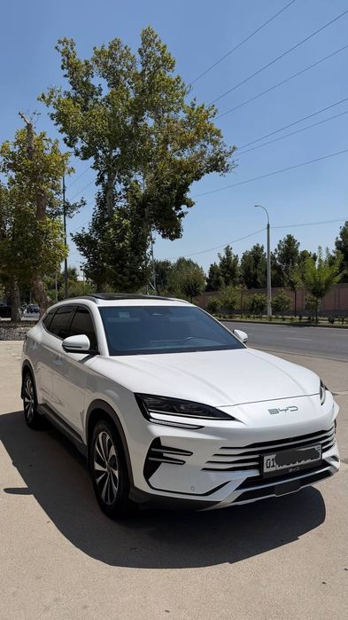 Byd Chempion 150 Dmi Full 2025