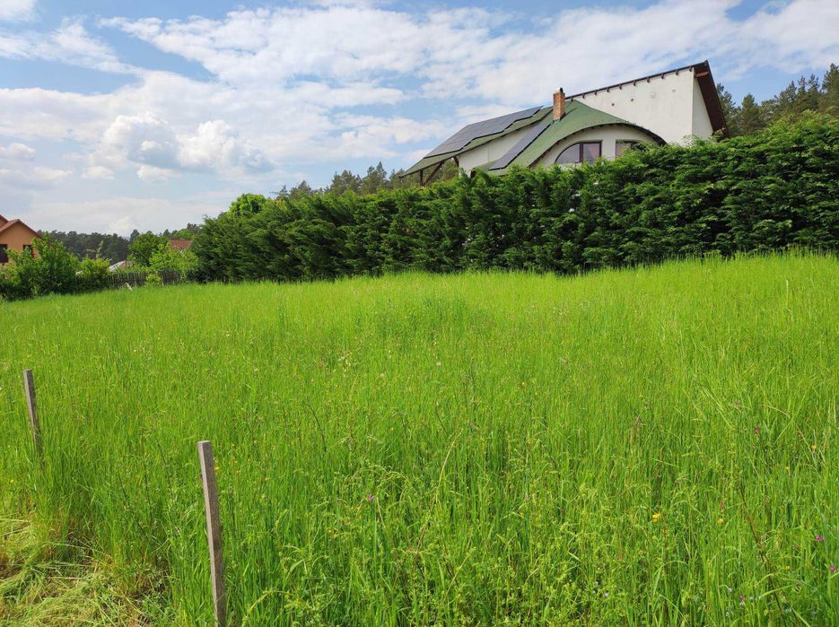 Kolcza, teren intravilan, cu plan casa si autorizatie construire