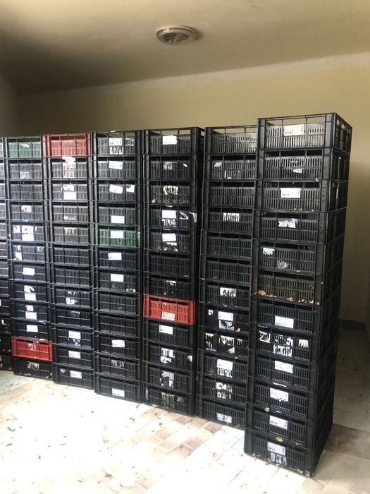 Lazi/ladite plastic pentru depozitare legume,fructe