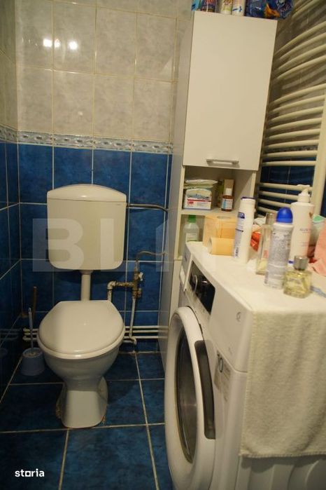 Liniste, spatiu -casa primitoare cu curte mare, gata de mutare, in Cam