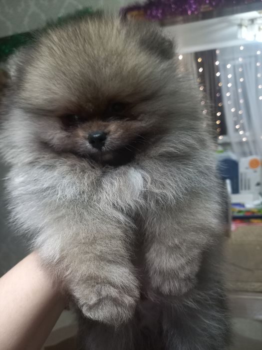 Очень красивые малыши