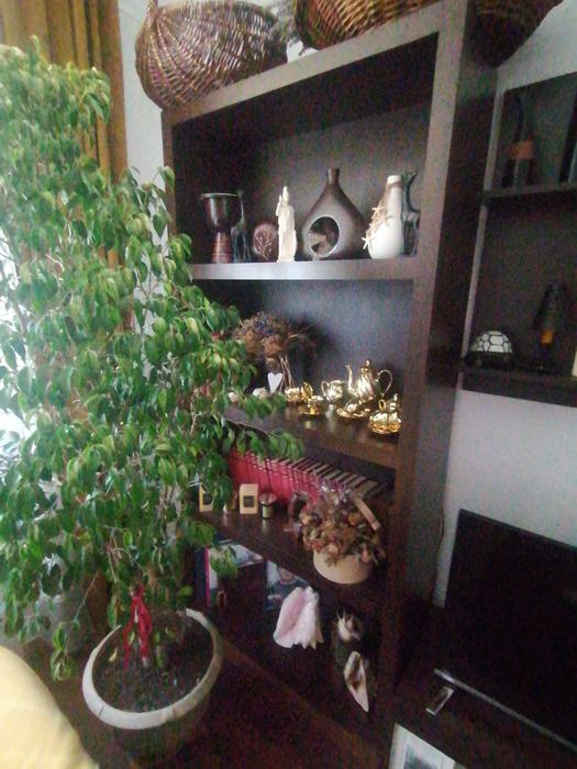 Mobilier living moderna făcută la comanda