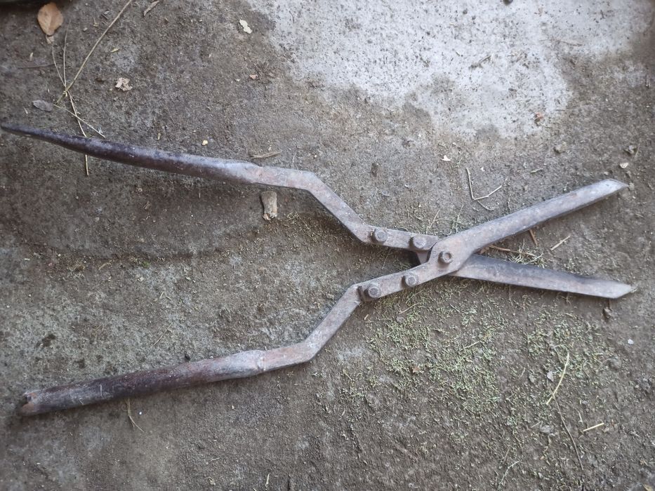 Ножница для стрижки деревьев