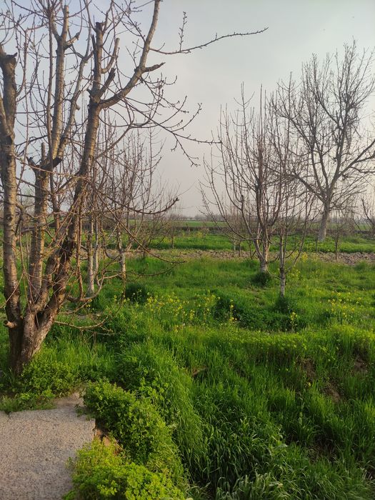 продаётся земля 5 соток