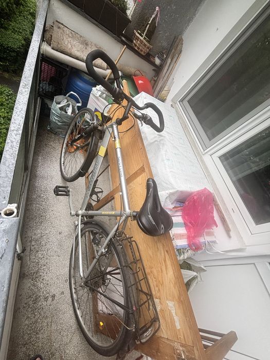 Bicicleta Alu-Rex cursiera
