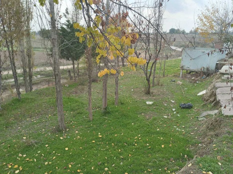 Dacha sotiladi Nazarbeda ili obmen moshinaga