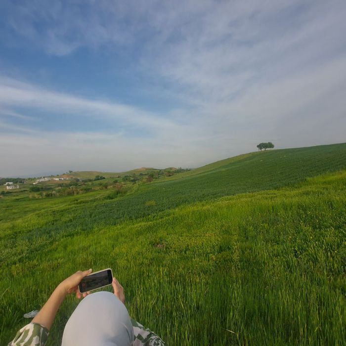 Продаётся земелный участок 1 га (100 соток)