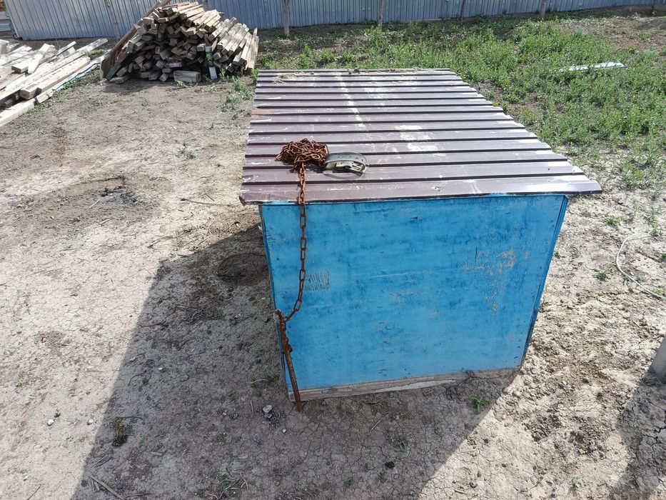 Итің ұясы Сабачи домик