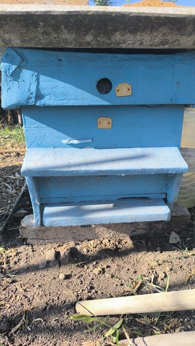 Пчелни кошери 10 броя