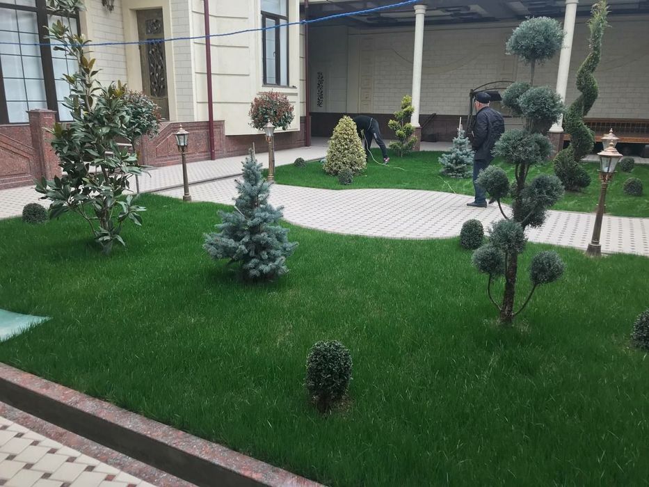 Газоны автополив