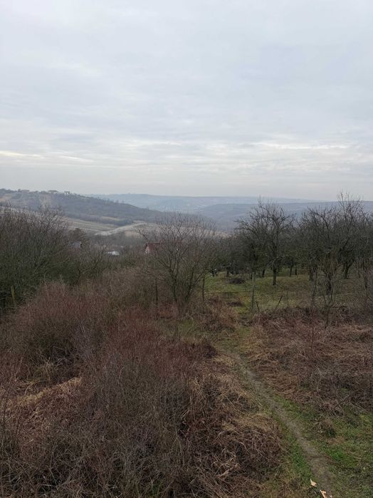 Teren intravilan de vanzare Saldabagiu de munte 890mp