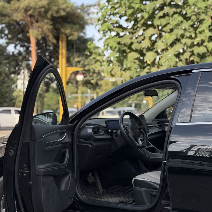 Byd chazor 55km 1позиция