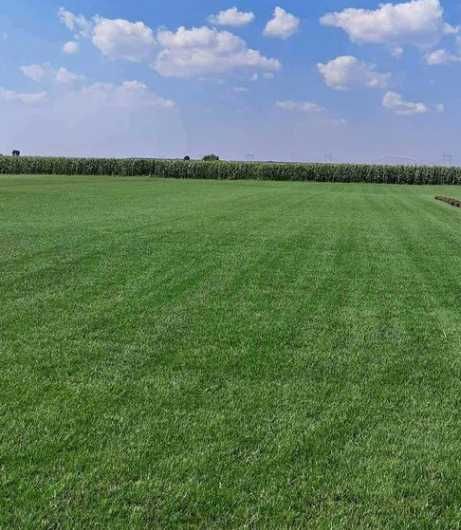 Gazon Rulou Sisteme de Irigare