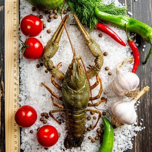 Живые крупные раки, в наличии