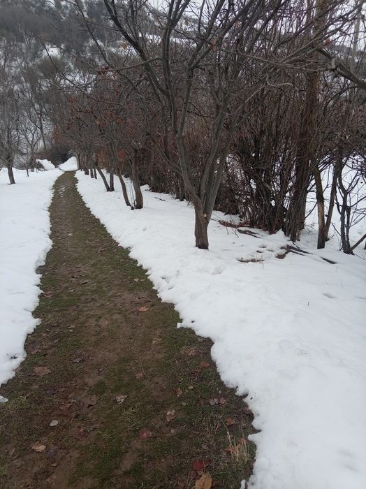 За городом в селле