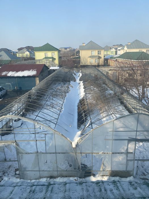 Теплица.  парник