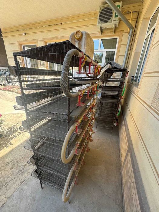 Bedana in qafas sotiladi (tayyor biznes)