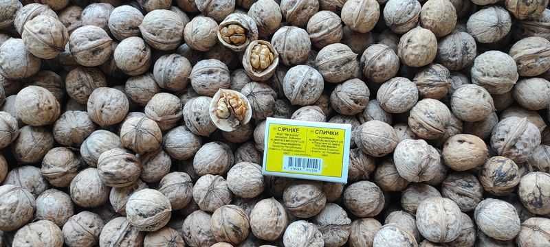 Продам орехи грецкие, урожай 2026 года.