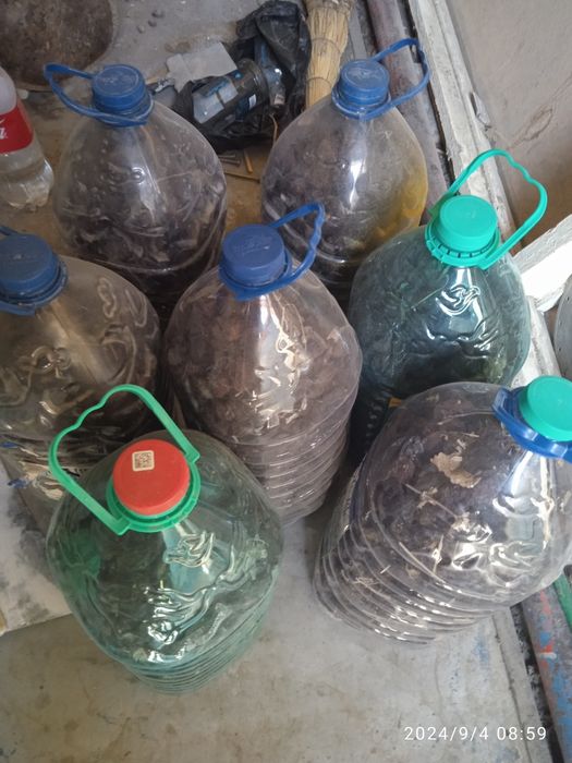 Урик коки Натурални Сушенний Абрекозни