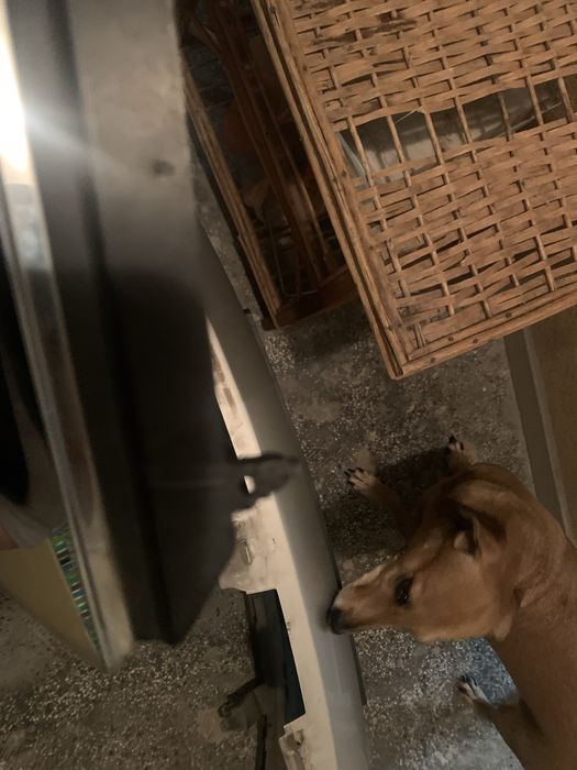 Предна броня и решетка за Ford Fiesta 2002 mk5