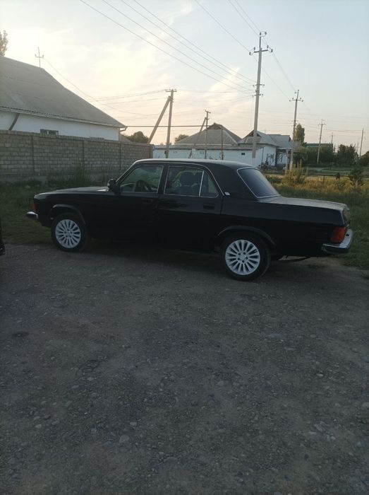 Volga 3102                .