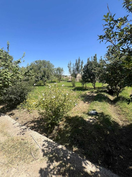 Arzon Xovli sotiladi Qiziltepa Toshrabot