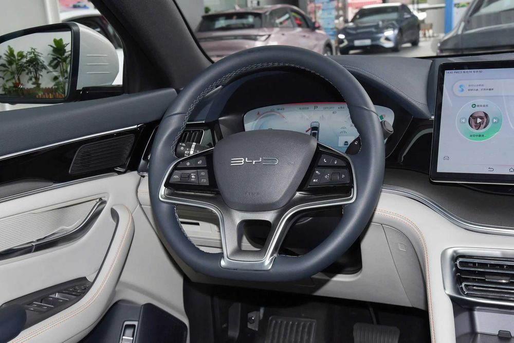 Byd Chanpion pod zakaz